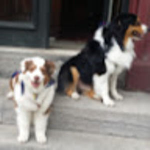 Meet your Posher, William